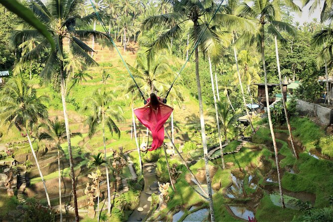 Bali Private Full Day Tour to Visit the Best Waterfalls and Swing Near Ubud - Accessibility and Participation