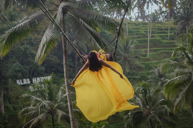 Bali Private Ubud Day Trip - Transportation Details