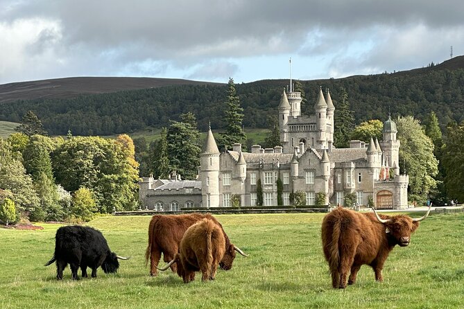 Balmoral & Royal Deeside Tour - Tour Accessibility and Suitability