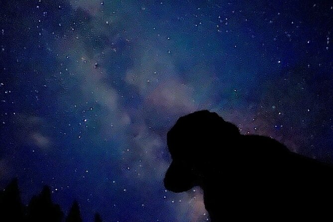 Banff Sunset & Stars - 2hr Walking Tour - Wildlife Encounter Opportunities