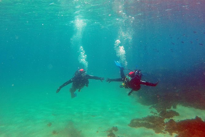 Baptism of Diving in the Natural Park of the Strait - Exploring the Natural Park of the Strait