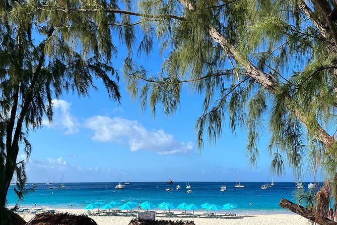 Barbados Shore Excursion: Wildlife Encounter and Beach Day - Garrison Savannah: UNESCO Exploration