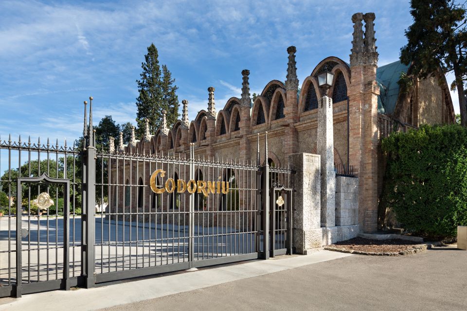 Barcelona: Caves Codorniu Winery Tour Based on Annas Life - Recommended Visiting Strategies