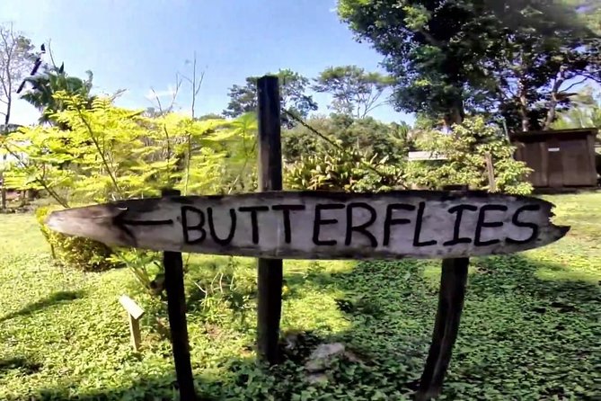 Barton Creek Cave & Butterfly Farm - Customer Reviews and Experiences