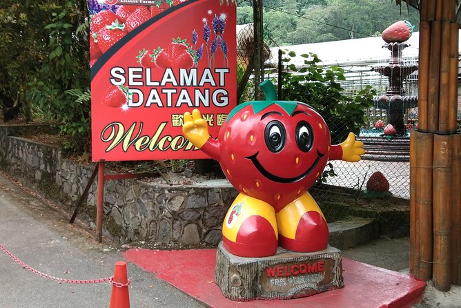Batu Caves and Genting Highland Tour - Genting Strawberry Leisure Farm