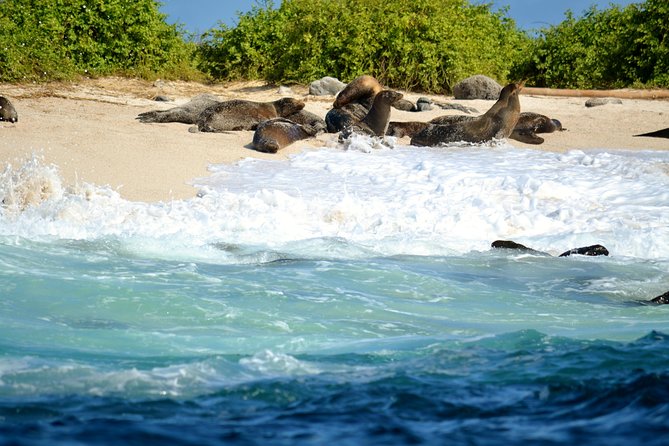 Bay Tour in Santa Cruz - Galapagos Islands - Booking and Cancellation