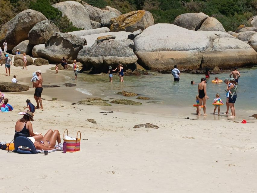 Beach Day at Boulders Beach & Penguin Watching, Half Day - Transportation and Comfort