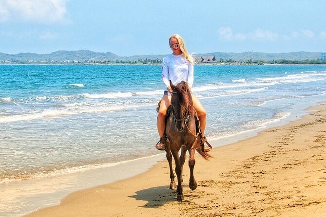 Beach Horse Riding From Sharm El Sheikh - Transportation Safety Issues