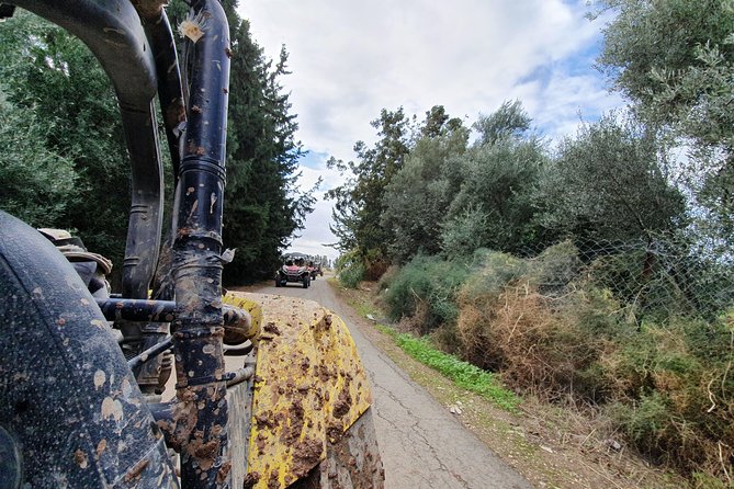 Beach & off Road Buggy Safari in Paphos - Meeting Point and Arrival Details