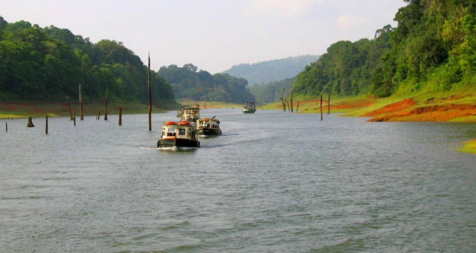 Beauty of Nature, Cochin With Periyar Wildlife Tour(04 Days) - Transportation and Accommodations