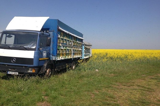 Beekeeping Day Trip| Private Guided Tour From Bucharest - Explore Beekeeping