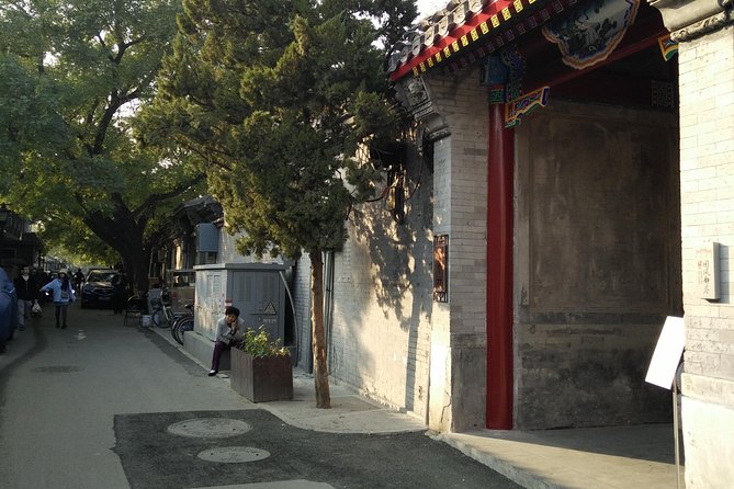 Beijing Tailored Privated Trip by English Driver-Translation APP - Communication During the Trip