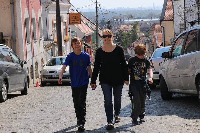 Belgrade Private City Tour – Metropolis Between East and West - Cancellation Policy