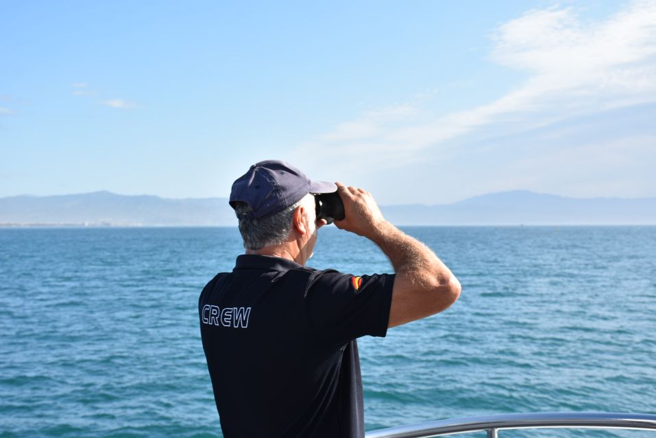 Benalmadena: Dolphin Watching Boat Tour - Important Information