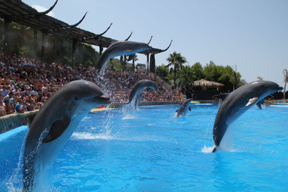 Benidorm: Mundomar Animal Park 1-Day Ticket - Operational Details