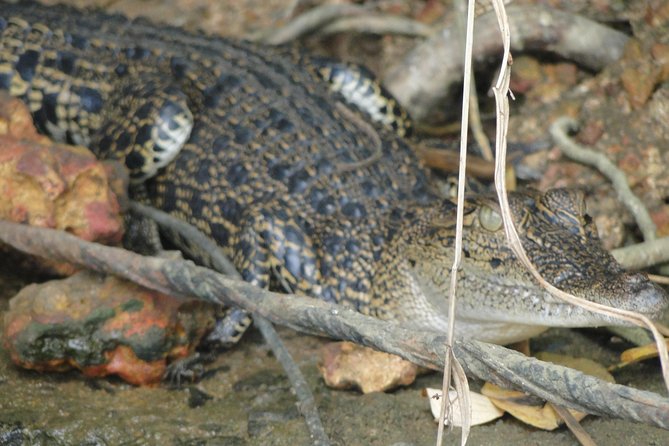 Bentota River Safari - Meeting and Pickup Information