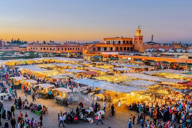 Best 9-Day Morocco Tour From Casablanca - Accessibility Information