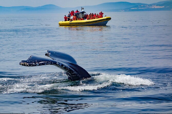 Best of Iceland 9-Day Tour With Private Transport  - Akureyri - Cancellation and Policies