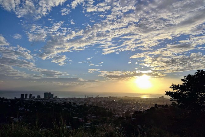 Best of Port of Spain Tour - Cultural Experiences
