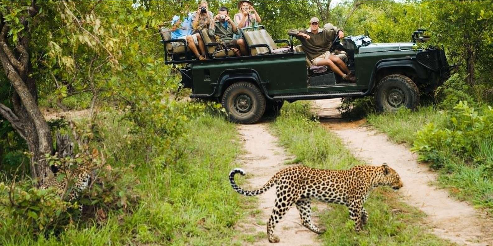 Best of SA 14 Day Private Safari Cape Town To Johannesburg - Plettenberg Bay & Addo