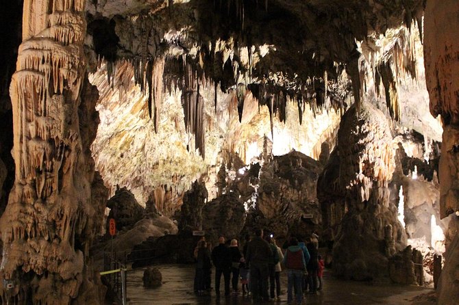 Best of SLOVENIA - Bled + Postojna + Ljubljana - Day Tour From Zagreb - Inclusions and Amenities