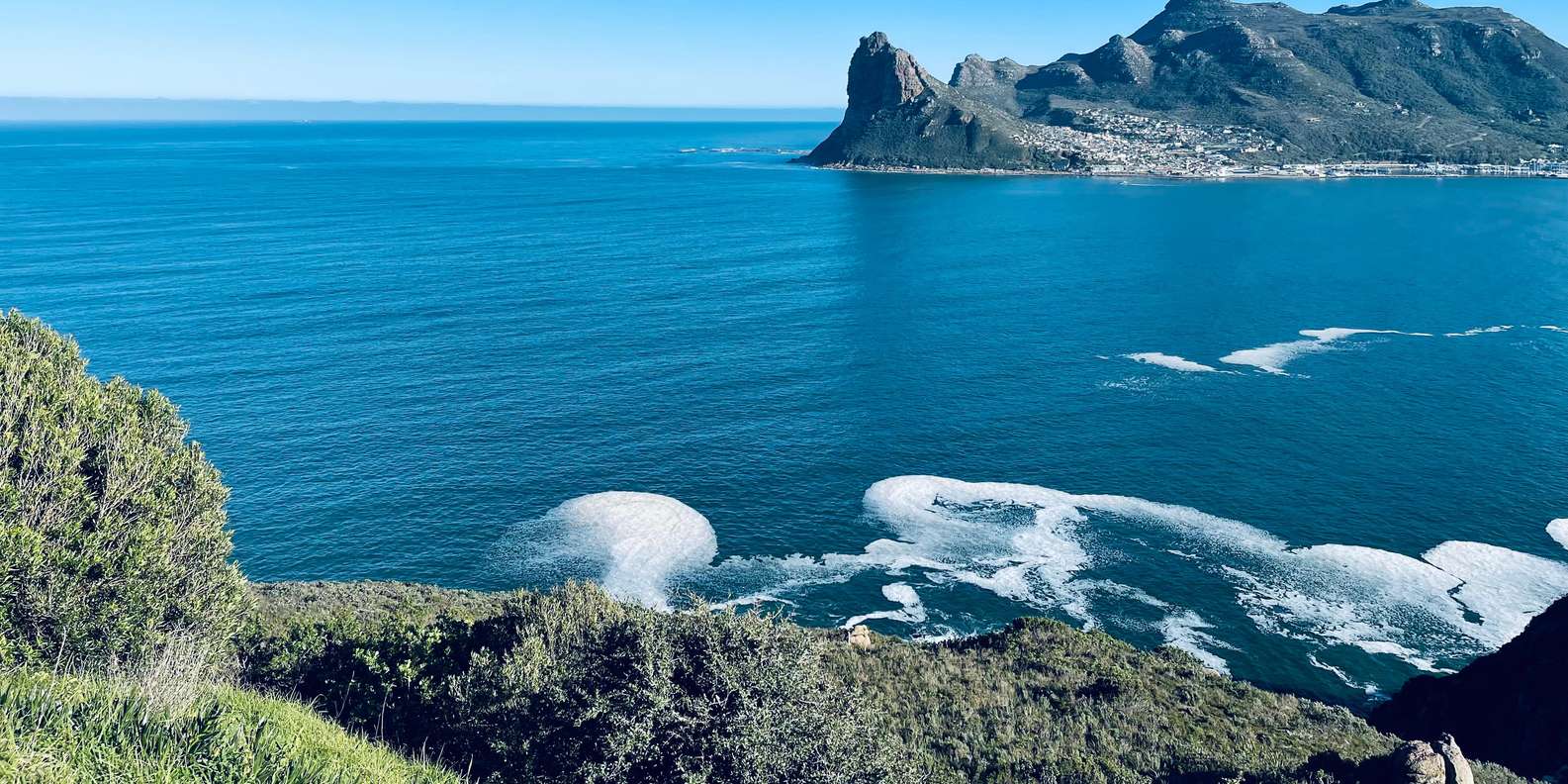 Best of the Cape : Full Day Group Tour - Cultural and Historical Experiences