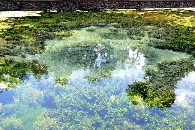 Best of Ubud - Kintamani Volcano View - Private Tour - Scenic Tegalalang Rice Terrace