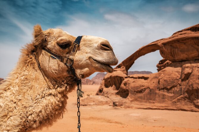 Best of Wadi Rum | Full Day Jeep Tour + Sleep Under the Stars | Pack All-In - Meeting Point and Logistics