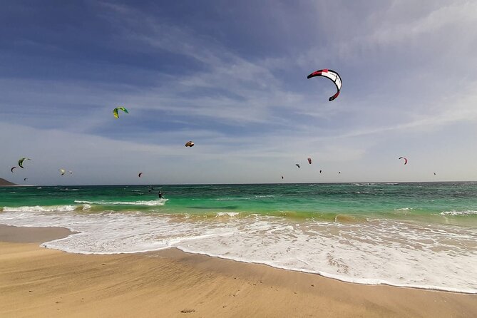 BEST VALUE Small Group Island Tour W/Shark Experience & Salt Lake - Preparation Tips for Travelers