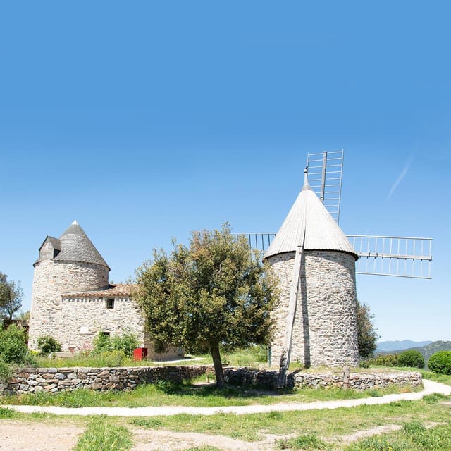 Béziers: Wine Tours & Wine Tasting - Tour Experience