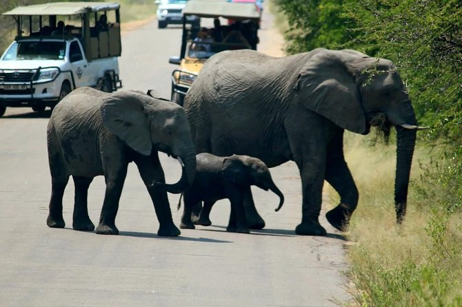 Big 5 Kruger National Park 2 Days Safari From Johannesburg - Accommodation Information