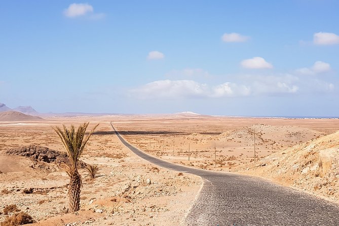 Big Boa Vista Exclusive Tour - Traveler Reviews