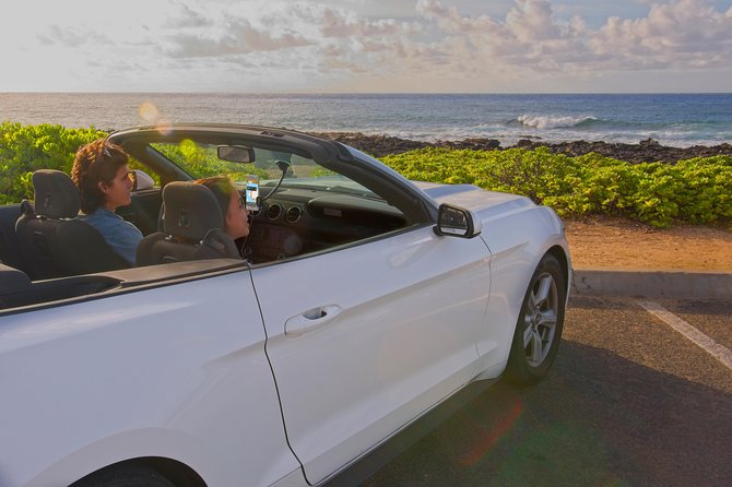 Big Island - South Island Coastal Loop Driving Tour - Accessibility Considerations