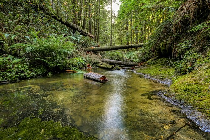 Big Sur Mcway Falls California Coast One Day From Monterey Carmel - Transportation Details