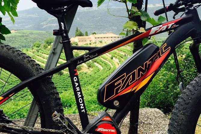 Bike Station Valpolicella: E-Bike Tour & Amarone Tasting - Wine Tasting Notes