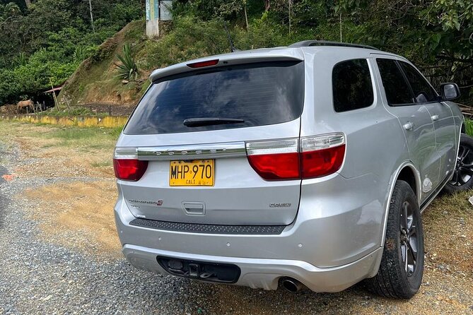 Bilingual Private Transport to the Airport. - Pickup and Drop-off Options