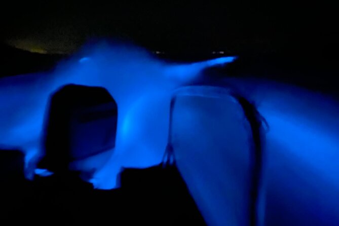 Bioluminescence Experience From Curú Wildlife Refuge - Tips for an Unforgettable Experience