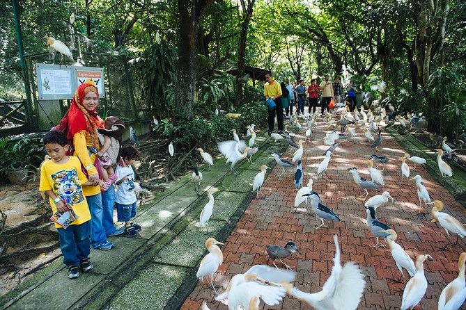 Bird Park & Butterfly Farm Nature Include All Entrance Tour From Kuala Lumpur - Visitor Reviews