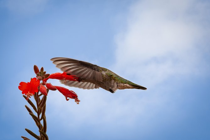 Bird Sanctuaries Tour - Cancellation Policy