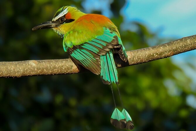 Bird Watching Tour in Carara National Park - Booking and Cancellation Policies