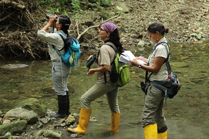 Bird Watching Tours With Sandra Plúa - Manabi, Ecuador - Sandra Plúas Expertise and Professionalism