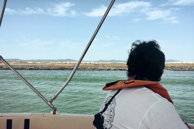 Birdwatching in Ria Formosa - Eco Boat Tour From Faro - Knowledgeable Guidance