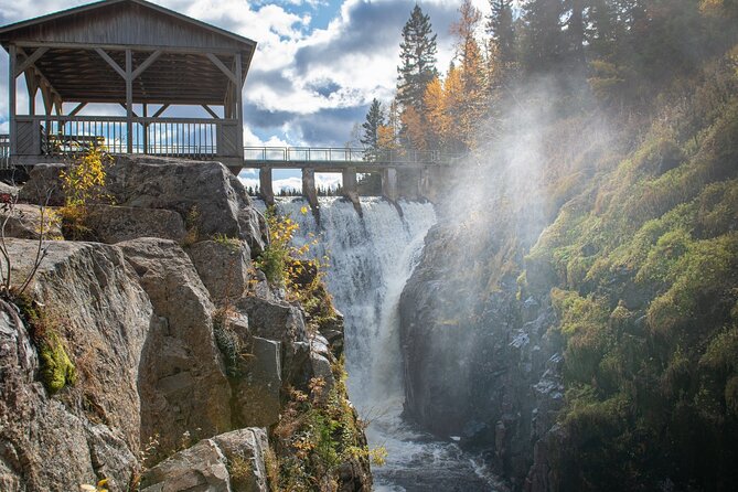 Black Bear Viewing and Walking at Oudoor Ctrs Canyon - Guides and Experiences