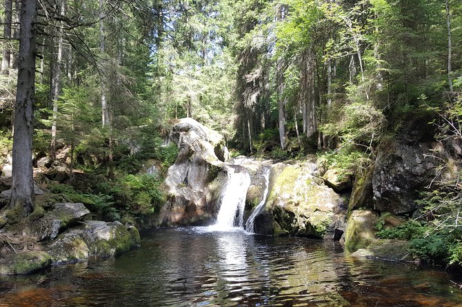 Black Forest Tour by Car - Quick Tour From Freiburg - Additional Information