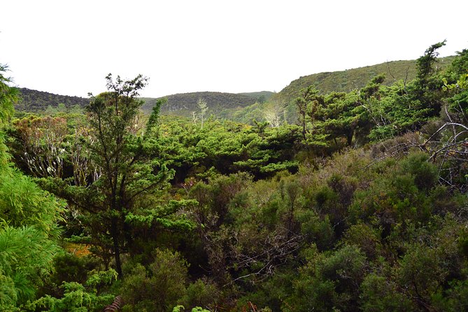 Black Mysteries Hiking Trail - Terceira Azores - Reviews and Experiences