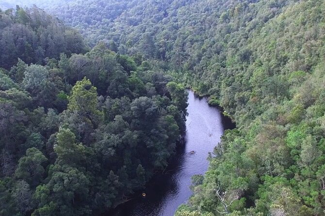 Blackwater Tubing Green Route Forest Adventure - Suitability and Accessibility