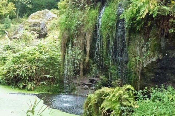 Blarney Castle Cork City and Jameson Distillery Semi Private Tour - Blarney Castle Attractions