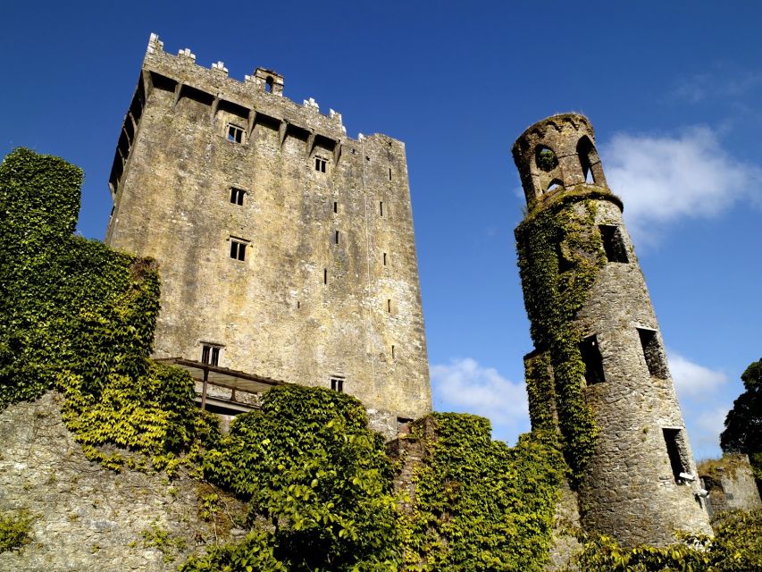 Blarney Castle Full-Day Tour From Dublin - Meeting Point Information