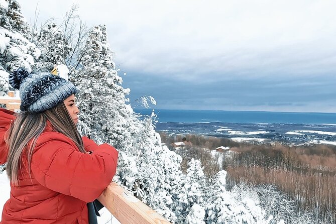 Blue Mountain and Scenic Caves of Collingwood - Traveler Experience Highlights