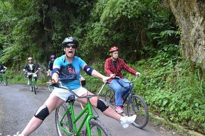 Blue Mountain Bicycle Tour From Kingston - Reviews and Feedback